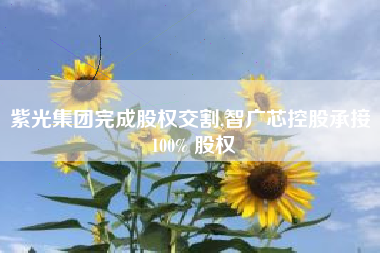 紫光集团完成股权交割,智广芯控股承接 100% 股权