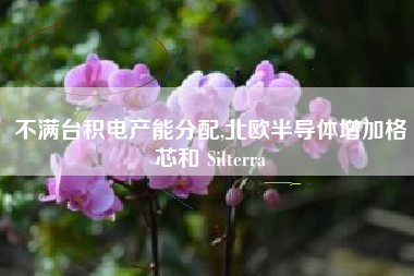 不满台积电产能分配,北欧半导体增加格芯和 Silterra