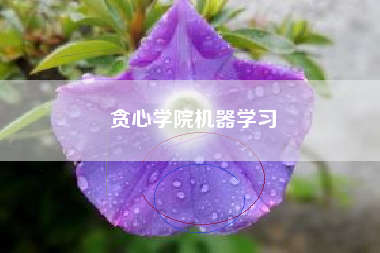 贪心学院机器学习