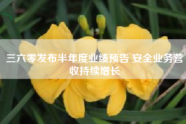 三六零发布半年度业绩预告 安全业务营收持续增长