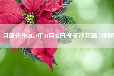 月风先生2021年04月03日投资沙龙篇 2视频