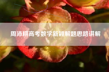 周沛耕高考数学新颖解题思路讲解
