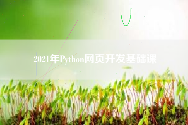 2021年Python网页开发基础课