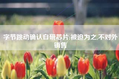 字节跳动确认自研芯片:被迫为之,不对外销售