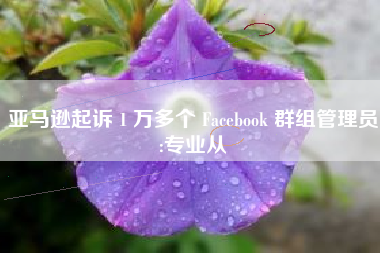 亚马逊起诉 1 万多个 Facebook 群组管理员:专业从