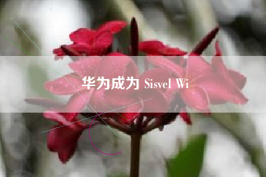 华为成为 Sisvel Wi