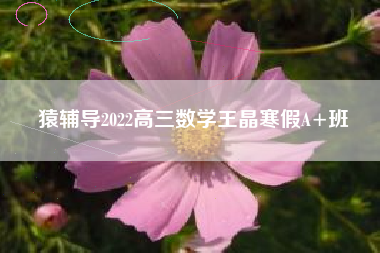 猿辅导2022高三数学王晶寒假A+班