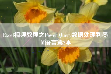 Excel视频教程之Power Query数据处理利器 M语言第2季