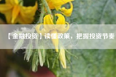 【金融投资】读懂政策，把握投资节奏