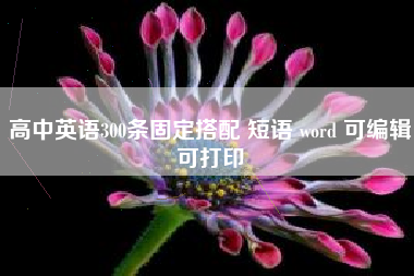 高中英语300条固定搭配 短语 word 可编辑可打印