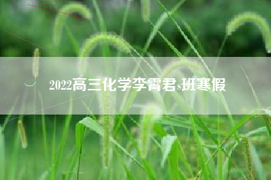 2022高三化学李霄君s班寒假