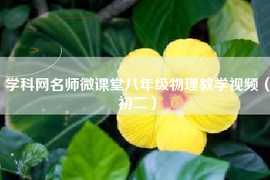 学科网名师微课堂八年级物理教学视频（初二）