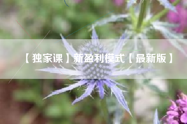 【独家课】新盈利模式【最新版】