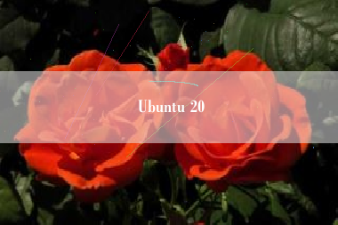 Ubuntu 20