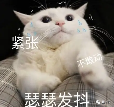 Linus:以防此事搞砸了我又发脾气,先给大家道个歉