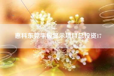 惠科东莞平板显示项目总投资17