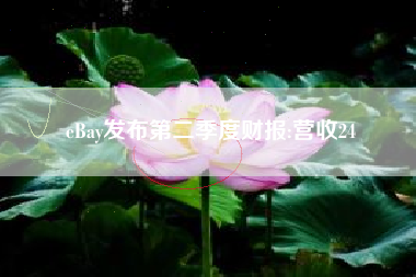 eBay发布第二季度财报:营收24