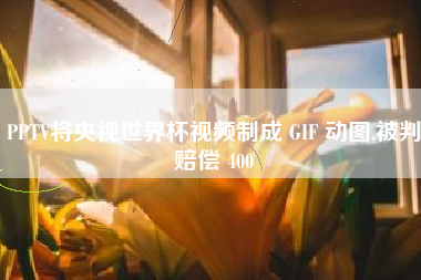 PPTV将央视世界杯视频制成 GIF 动图,被判赔偿 400