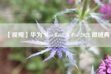 【视频】华为 MateBook X Pro 2022 微绒典