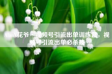 AlanX花爷·视频号引流出单训练营，视频号引流出单必杀技