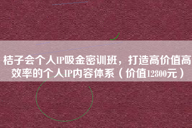 桔子会个人IP吸金密训班，打造高价值高效率的个人IP内容体系（价值12800元）