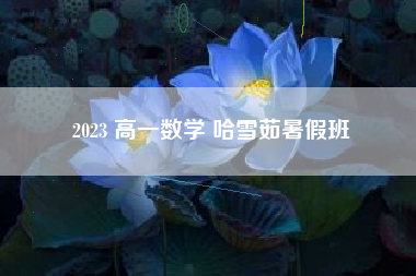 2023 高一数学 哈雪茹暑假班