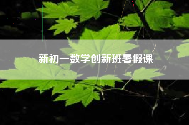 新初一数学创新班暑假课