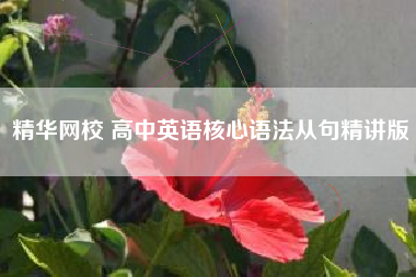 精华网校 高中英语核心语法从句精讲版