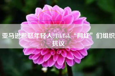 亚马逊惹怒年轻人?TikTok“网红”们组织抗议