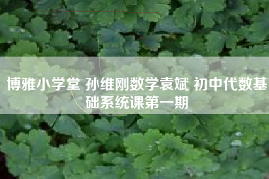 博雅小学堂 孙维刚数学袁斌 初中代数基础系统课第一期