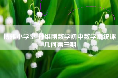 博雅小学堂 孙维刚数学初中数学系统课几何第三期