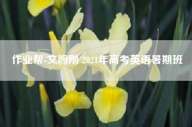 作业帮-文煦刚 2021年高考英语暑期班