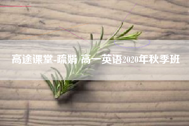 高途课堂-疏娟 高一英语2020年秋季班