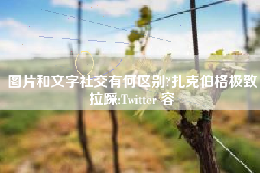 图片和文字社交有何区别?扎克伯格极致拉踩:Twitter 容