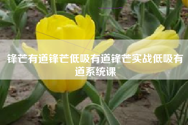 锋芒有道锋芒低吸有道锋芒实战低吸有道系统课