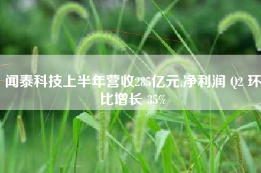 闻泰科技上半年营收285亿元,净利润 Q2 环比增长 35%