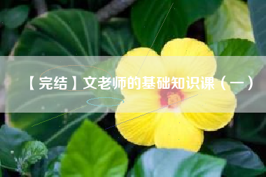 【完结】文老师的基础知识课（一）