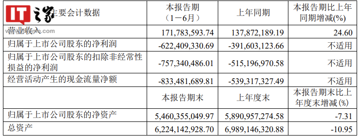 寒武纪:上半年营业收入同比增长 24.6%,净亏损 6