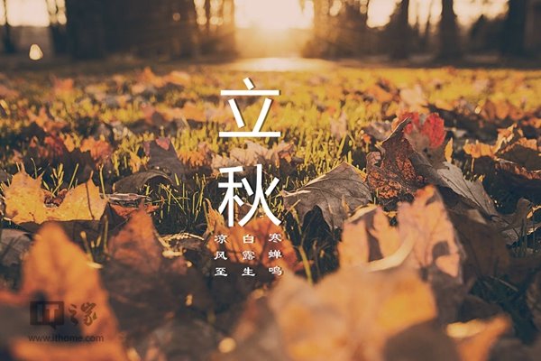今日立秋:风吹一片叶,万物已惊秋 详情请欣赏下