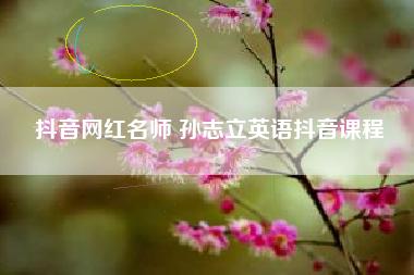 抖音网红名师 孙志立英语抖音课程