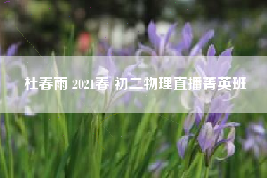 杜春雨 2021春 初二物理直播菁英班