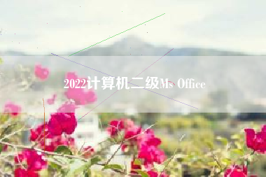 2022计算机二级Ms Office