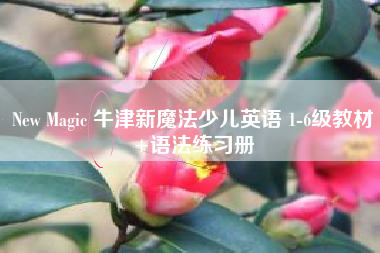 New Magic 牛津新魔法少儿英语 1-6级教材+语法练习册