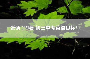 张硕 2021暑 初三中考英语目标A+