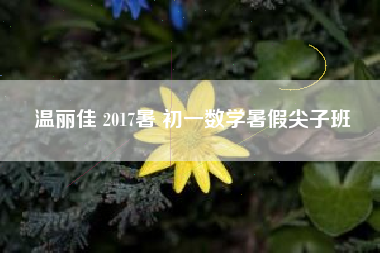 温丽佳 2017暑 初一数学暑假尖子班