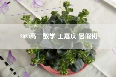 2023高二数学 王嘉庆 暑假班