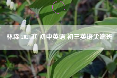 林淼 2021寒 初中英语 初三英语尖端班