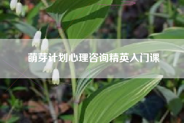 萌芽计划心理咨询精英入门课