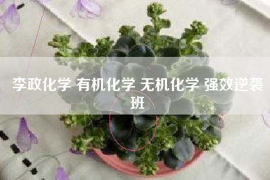 李政化学 有机化学 无机化学 强效逆袭班