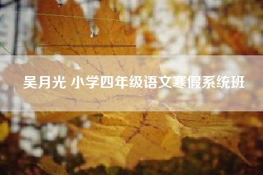 吴月光 小学四年级语文寒假系统班